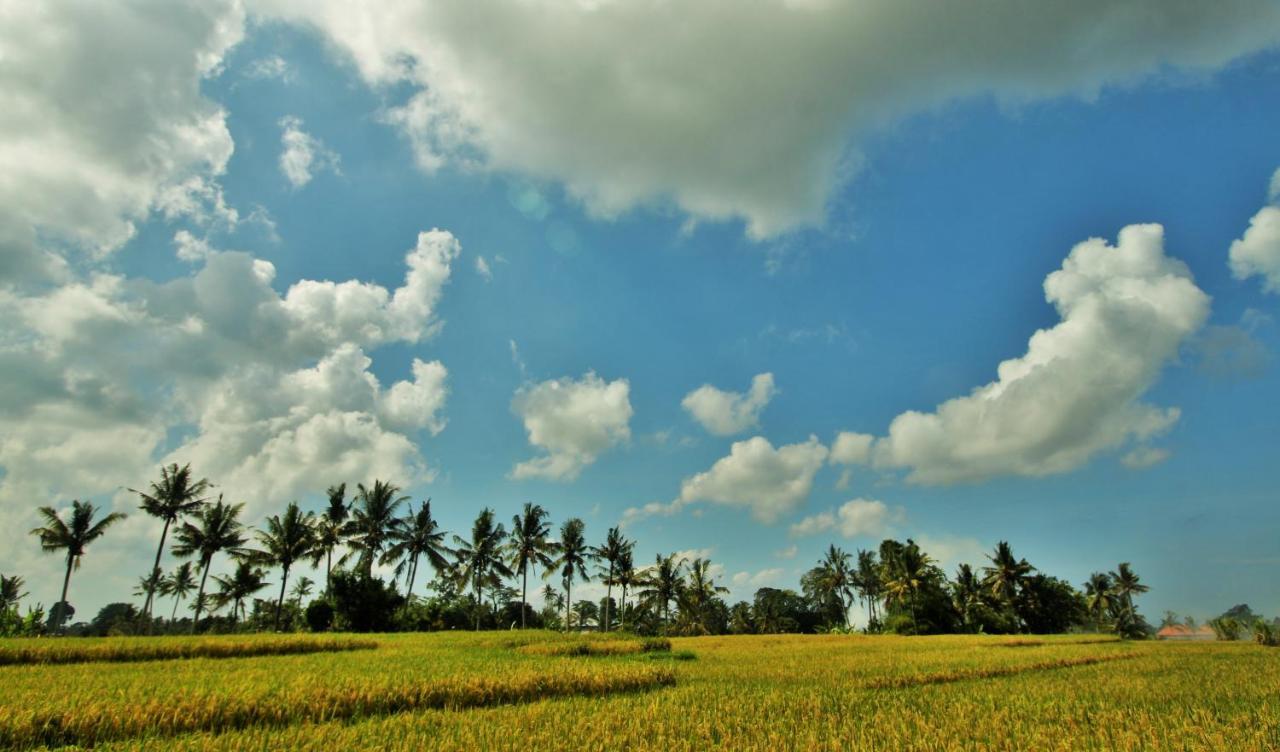 Griya Private Villa Ubud  Luaran gambar