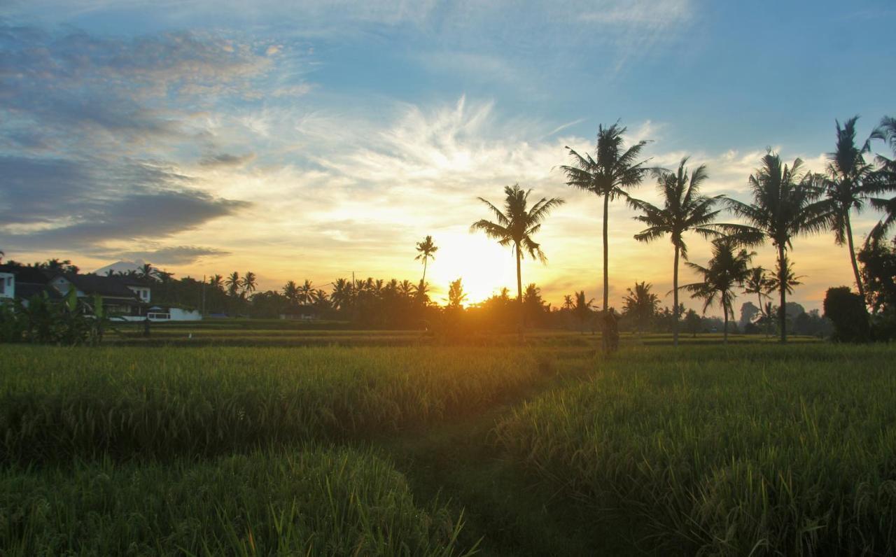 Griya Private Villa Ubud  Luaran gambar
